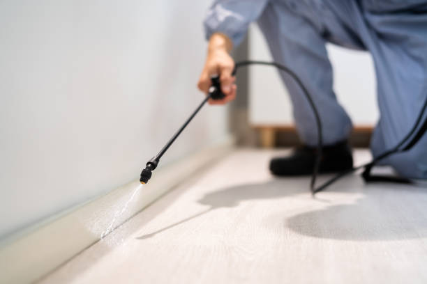 Licensed Rodent Control service in Timnath, CO - Nex Pest Control